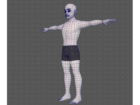 Base mesh man character V25 3D Model