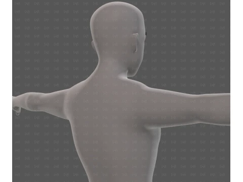 Base mesh man character V25 3D Model