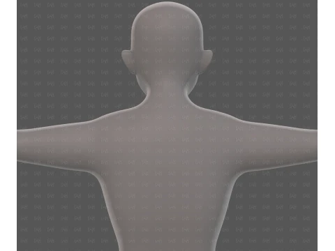 Base mesh man character V25 3D Model