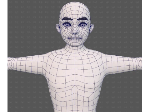 Base mesh man character V25 3D Model