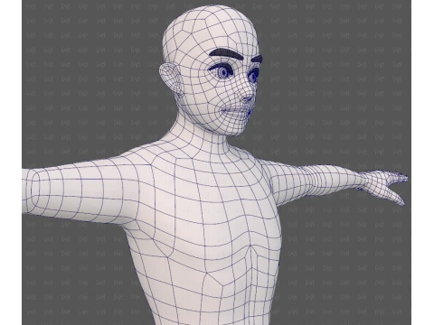 Base mesh man character V25 3D Model