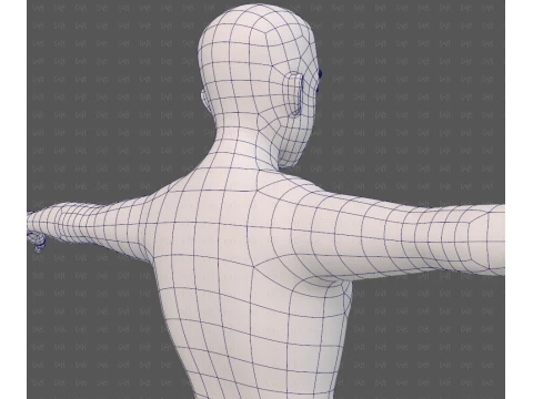 Base mesh man character V25 3D Model
