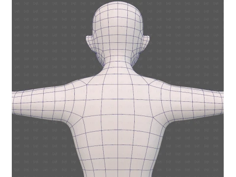 Base mesh man character V25 3D Model