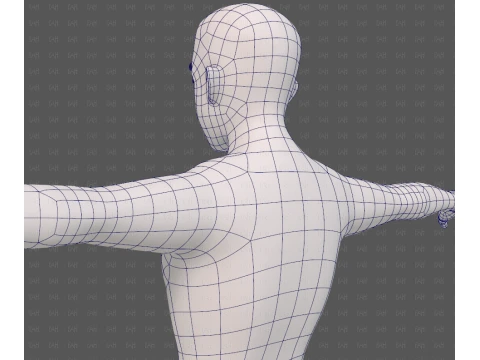 Base mesh man character V25 3D Model