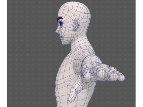 Base mesh man character V25 3D Model