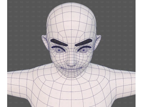 Base mesh man character V25 3D Model