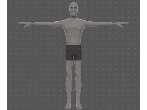 Base mesh man character V27 3D Model