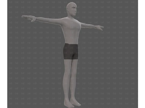 Base mesh man character V27 3D Model