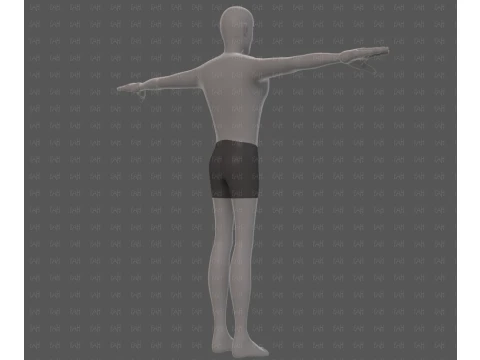 Base mesh man character V27 3D Model