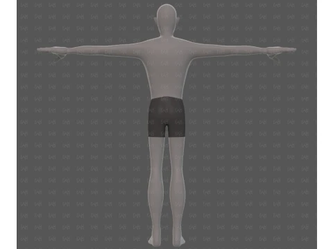 Base mesh man character V27 3D Model