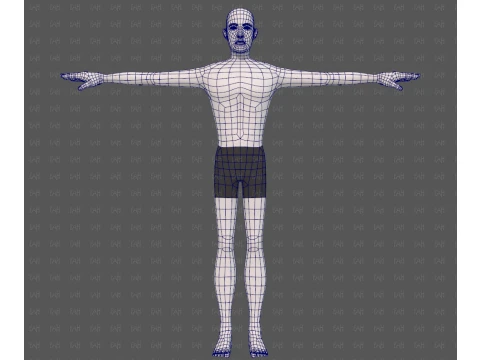 Base mesh man character V27 3D Model