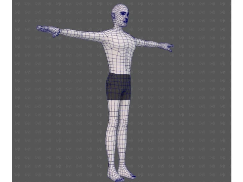 Base mesh man character V27 3D Model