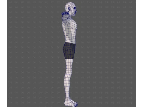 Base mesh man character V27 3D Model