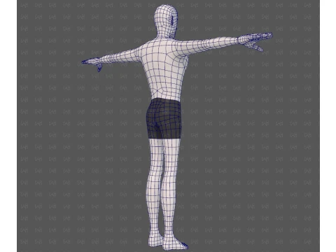 Base mesh man character V27 3D Model