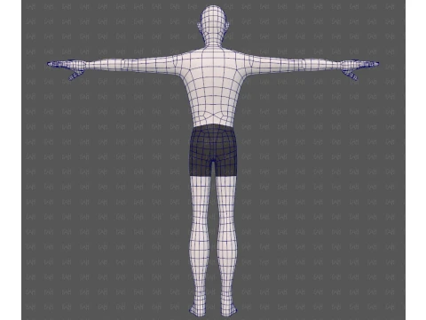 Base mesh man character V27 3D Model