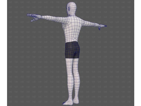 Base mesh man character V27 3D Model