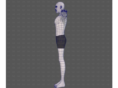 Base mesh man character V27 3D Model
