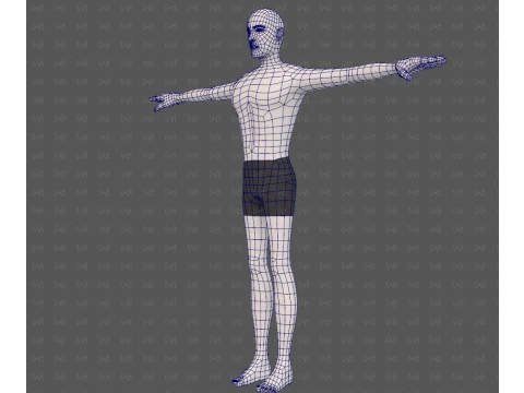 Base mesh man character V27 3D Model