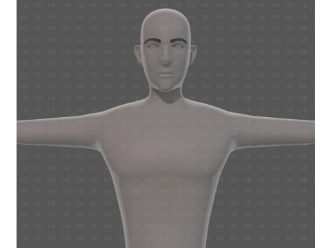 Base mesh man character V27 3D Model