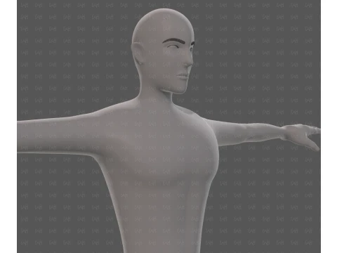 Base mesh man character V27 3D Model
