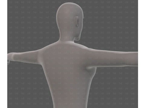 Base mesh man character V27 3D Model