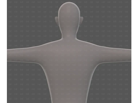Base mesh man character V27 3D Model
