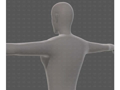 Base mesh man character V27 3D Model