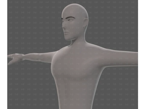 Base mesh man character V27 3D Model