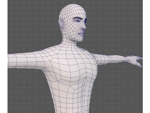 Base mesh man character V27 3D Model