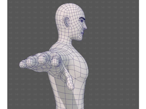 Base mesh man character V27 3D Model