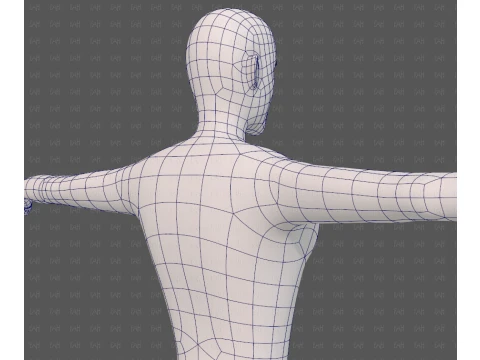 Base mesh man character V27 3D Model