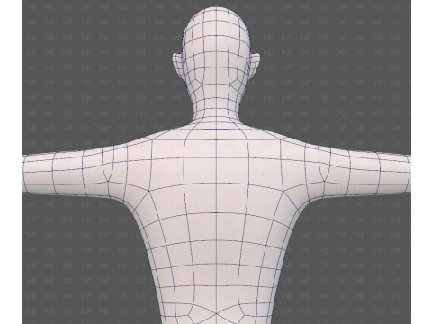 Base mesh man character V27 3D Model