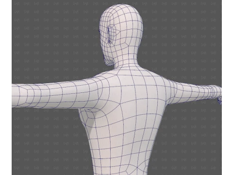 Base mesh man character V27 3D Model