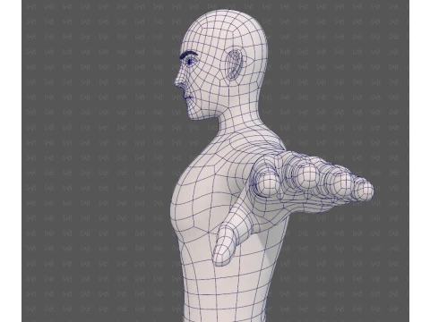 Base mesh man character V27 3D Model