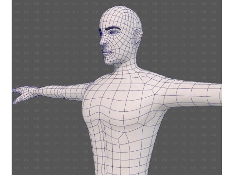 Base mesh man character V27 3D Model