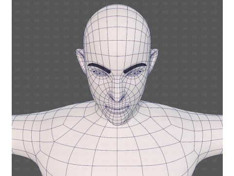 Base mesh man character V27 3D Model