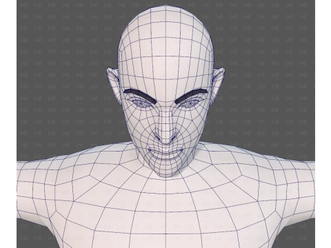 Base mesh man character V27 3D Model