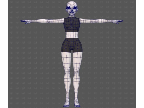 Base mesh woman 29 3D Model