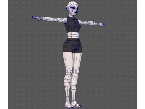 Base mesh woman 29 3D Model
