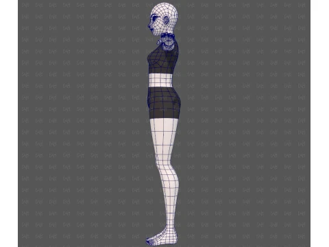 Base mesh woman 29 3D Model