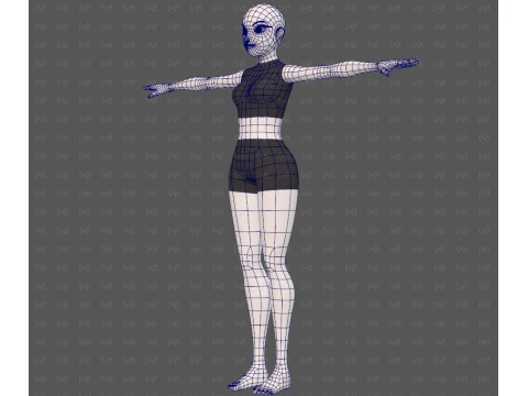 Base mesh woman 29 3D Model