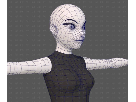 Base mesh woman 29 3D Model