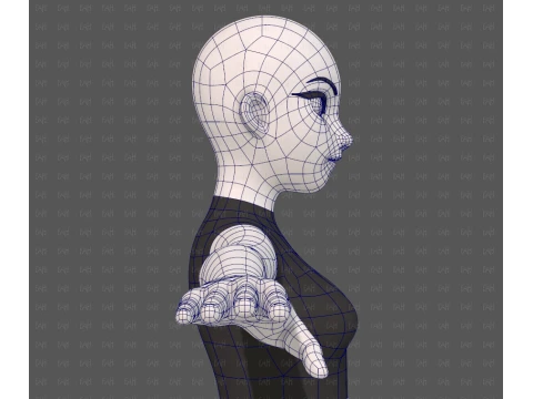 Base mesh woman 29 3D Model