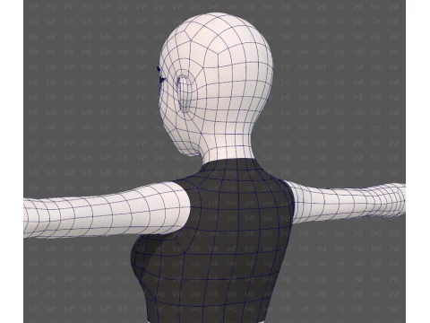 Base mesh woman 29 3D Model