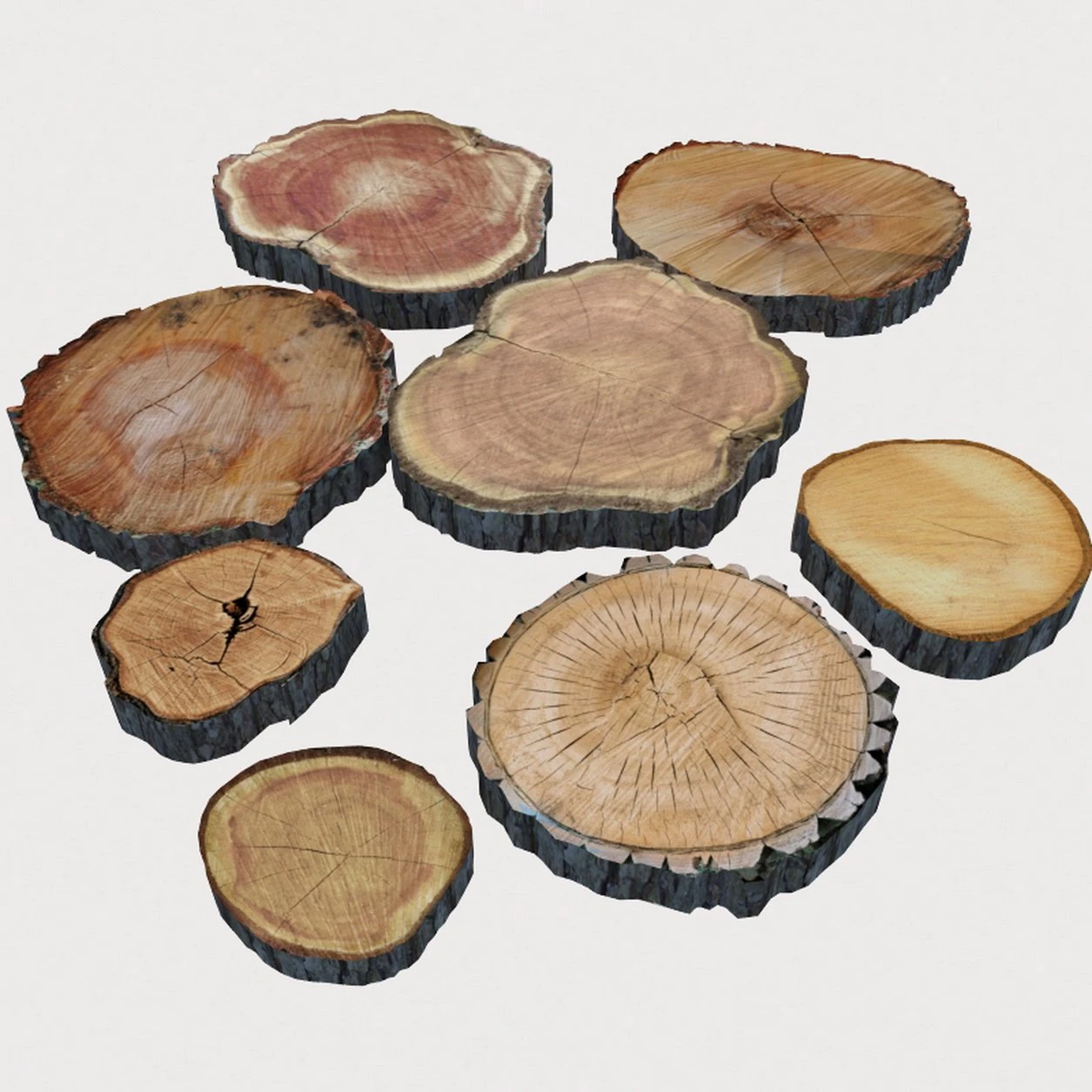 Wood log slices 3D Model .c4d .max .obj .3ds .fbx .stl .blend 