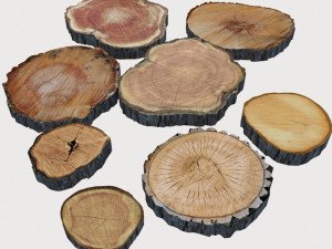 Wood log slices 3D 모델