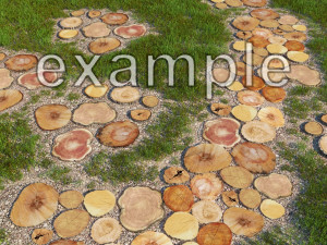 Wood log slices 3D 模型