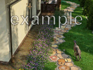 Wood log slices 3D Model