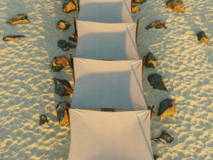 Shade Canopy vs rocks sand 3D Model