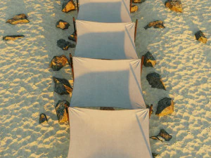 Shade Canopy vs rocks sand 3D Model